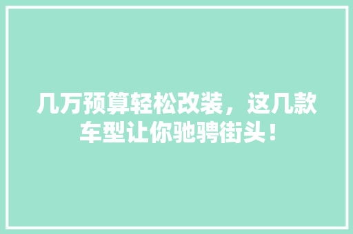 几万预算轻松改装，这几款车型让你驰骋街头！