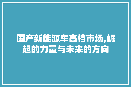国产新能源车高档市场,崛起的力量与未来的方向