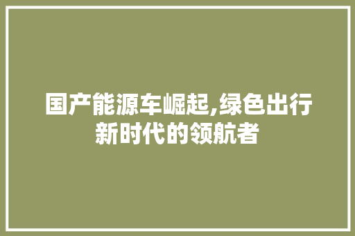 国产能源车崛起,绿色出行新时代的领航者