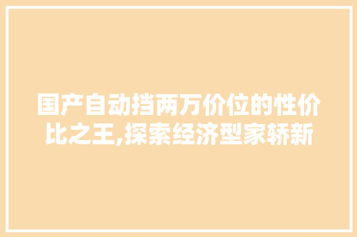 国产自动挡两万价位的性价比之王,探索经济型家轿新选择