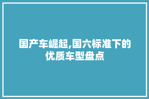 国产车崛起,国六标准下的优质车型盘点