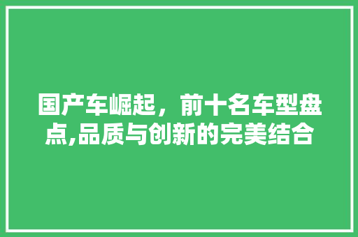国产车崛起，前十名车型盘点,品质与创新的完美结合