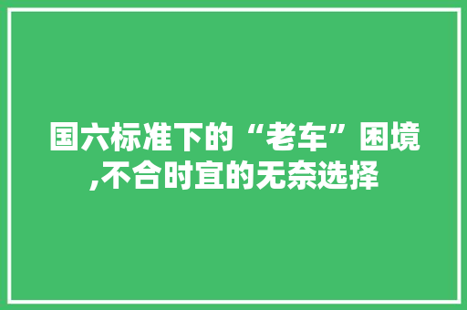 国六标准下的“老车”困境,不合时宜的无奈选择