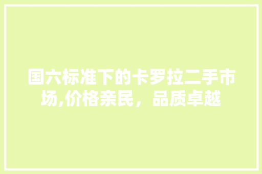 国六标准下的卡罗拉二手市场,价格亲民，品质卓越