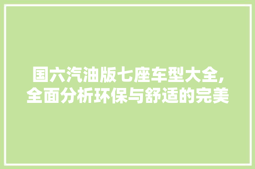 国六汽油版七座车型大全,全面分析环保与舒适的完美结合