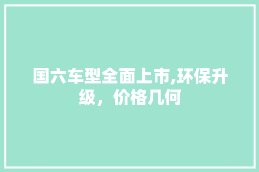 国六车型全面上市,环保升级，价格几何