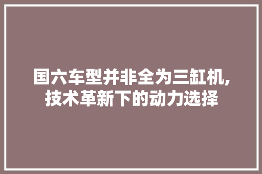 国六车型并非全为三缸机,技术革新下的动力选择