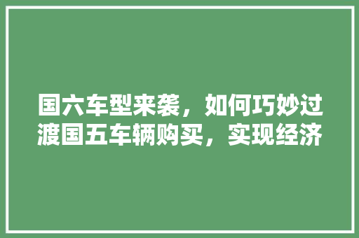 国六车型来袭，如何巧妙过渡国五车辆购买，实现经济实惠