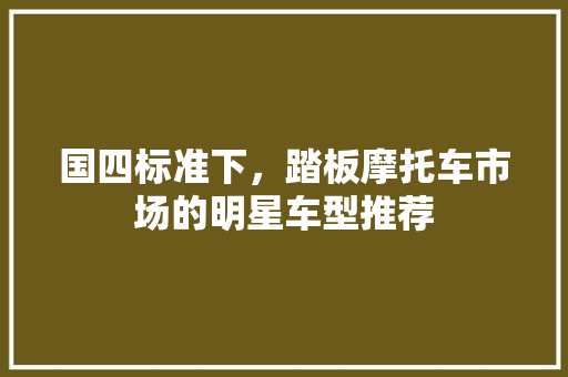国四标准下，踏板摩托车市场的明星车型推荐 底盘配件