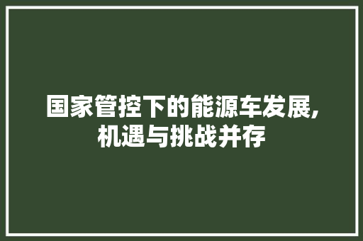 国家管控下的能源车发展,机遇与挑战并存