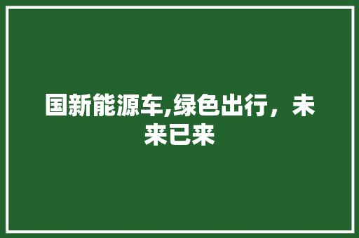国新能源车,绿色出行，未来已来