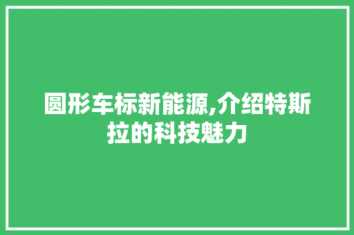 圆形车标新能源,介绍特斯拉的科技魅力