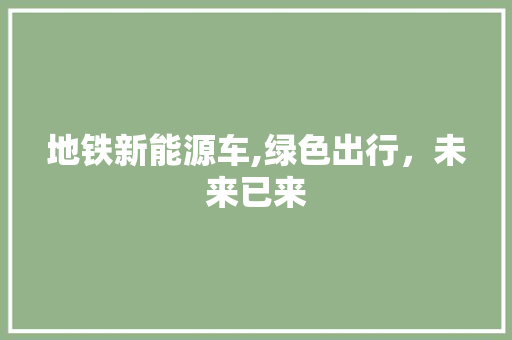 地铁新能源车,绿色出行，未来已来