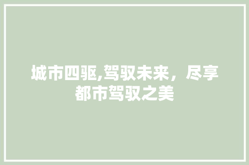 城市四驱,驾驭未来，尽享都市驾驭之美