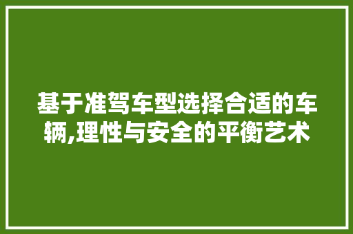 基于准驾车型选择合适的车辆,理性与安全的平衡艺术