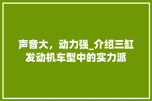 声音大，动力强_介绍三缸发动机车型中的实力派