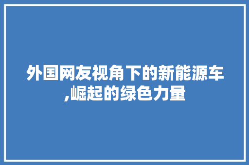 外国网友视角下的新能源车,崛起的绿色力量