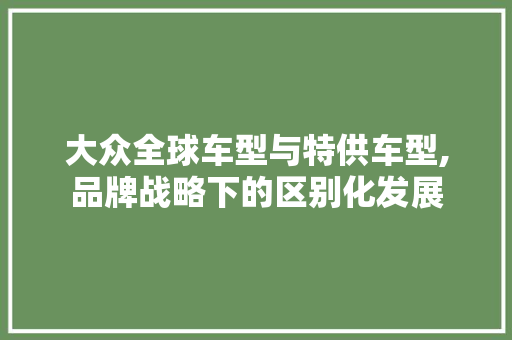 大众全球车型与特供车型,品牌战略下的区别化发展
