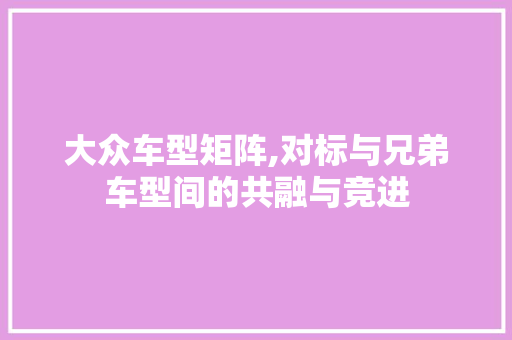 大众车型矩阵,对标与兄弟车型间的共融与竞进