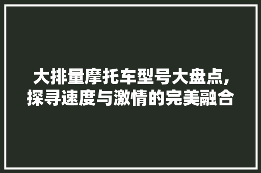 大排量摩托车型号大盘点,探寻速度与激情的完美融合