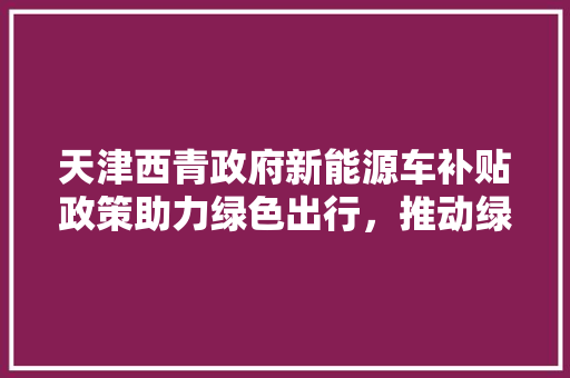 天津西青政府新能源车补贴政策助力绿色出行，推动绿色发展新篇章