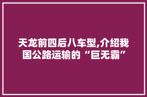 天龙前四后八车型,介绍我国公路运输的“巨无霸”