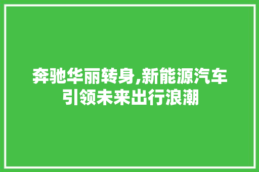 奔驰华丽转身,新能源汽车引领未来出行浪潮 新款车型