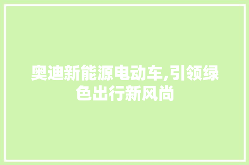 奥迪新能源电动车,引领绿色出行新风尚
