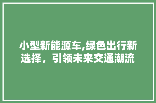 小型新能源车,绿色出行新选择，引领未来交通潮流