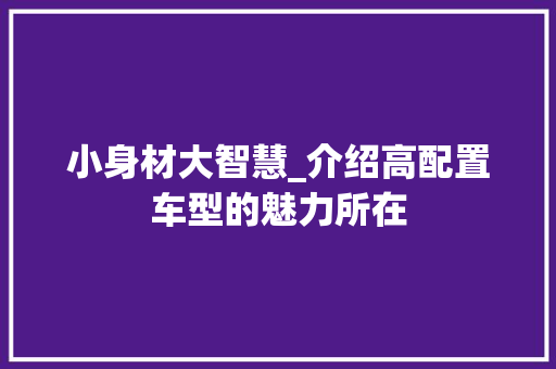小身材大智慧_介绍高配置车型的魅力所在
