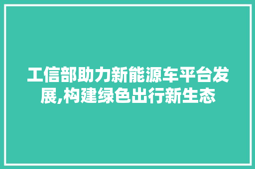 工信部助力新能源车平台发展,构建绿色出行新生态