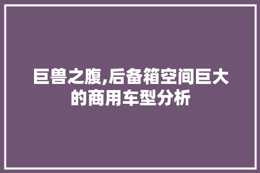巨兽之腹,后备箱空间巨大的商用车型分析