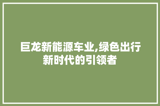 巨龙新能源车业,绿色出行新时代的引领者