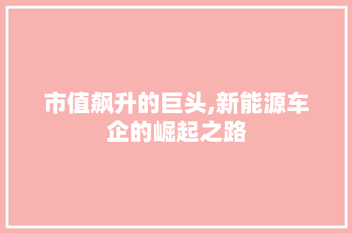 市值飙升的巨头,新能源车企的崛起之路
