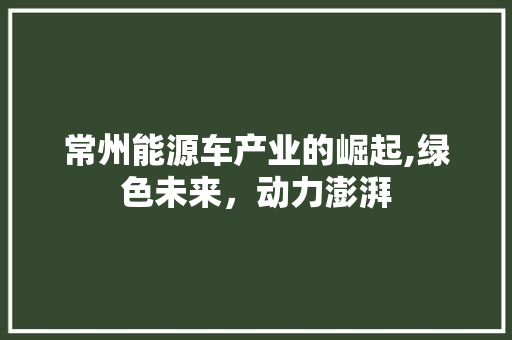 常州能源车产业的崛起,绿色未来，动力澎湃
