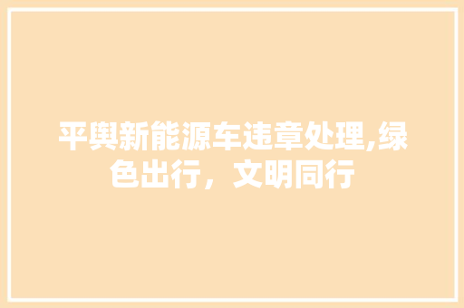 平舆新能源车违章处理,绿色出行，文明同行