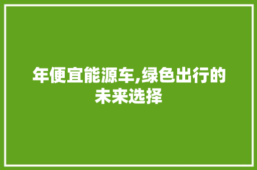 年便宜能源车,绿色出行的未来选择