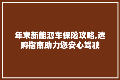 年末新能源车保险攻略,选购指南助力您安心驾驶