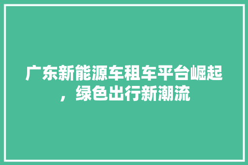 广东新能源车租车平台崛起，绿色出行新潮流 新款车型