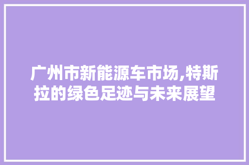 广州市新能源车市场,特斯拉的绿色足迹与未来展望