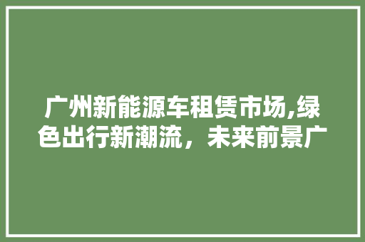广州新能源车租赁市场,绿色出行新潮流，未来前景广阔