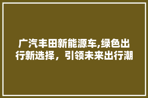 广汽丰田新能源车,绿色出行新选择，引领未来出行潮流