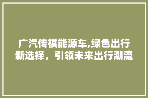 广汽传祺能源车,绿色出行新选择，引领未来出行潮流
