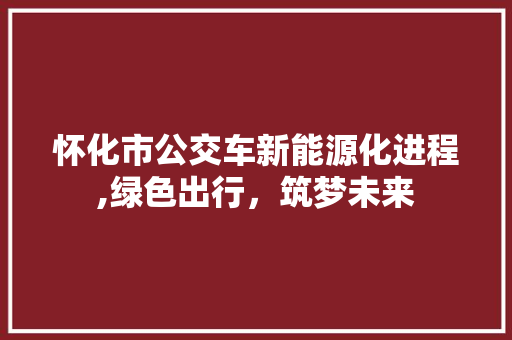 怀化市公交车新能源化进程,绿色出行，筑梦未来