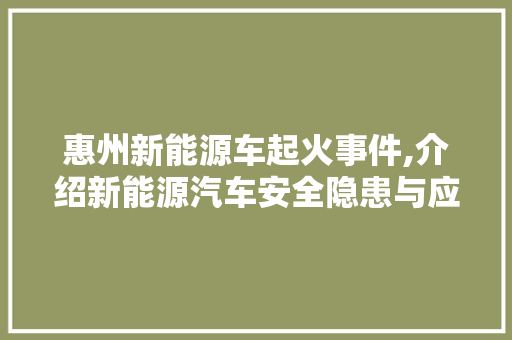惠州新能源车起火事件,介绍新能源汽车安全隐患与应对之路