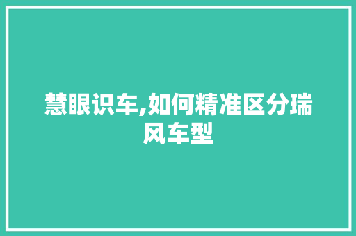 慧眼识车,如何精准区分瑞风车型