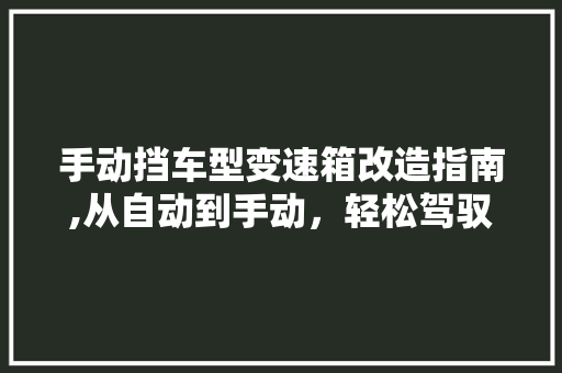 手动挡车型变速箱改造指南,从自动到手动，轻松驾驭新体验