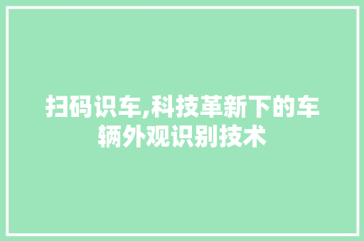 扫码识车,科技革新下的车辆外观识别技术