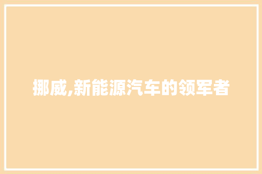 挪威,新能源汽车的领军者