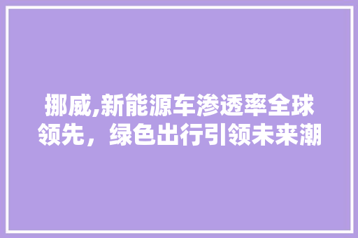 挪威,新能源车渗透率全球领先，绿色出行引领未来潮流 发动机配件